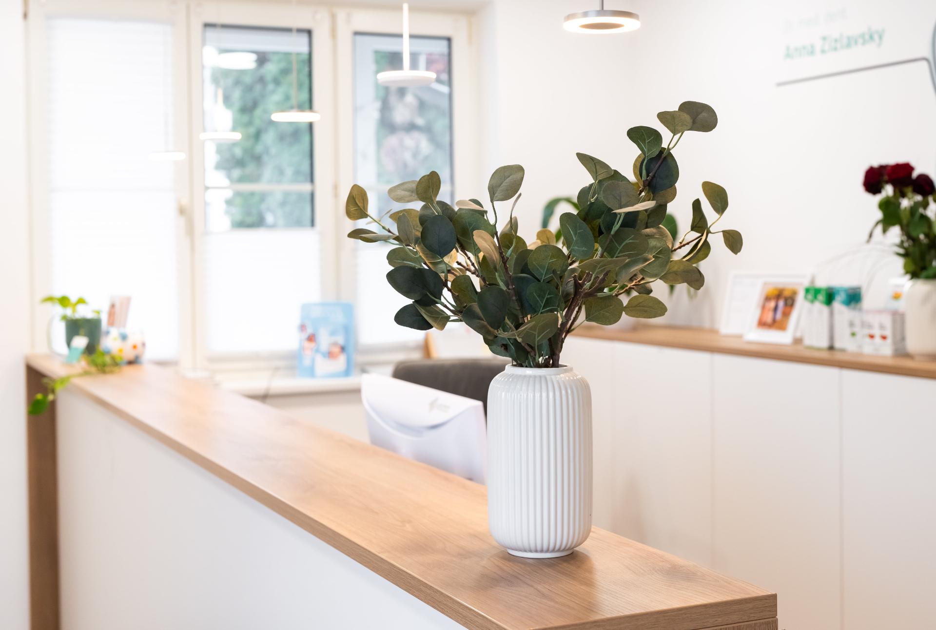 Dr. Zizlavsky_304-min